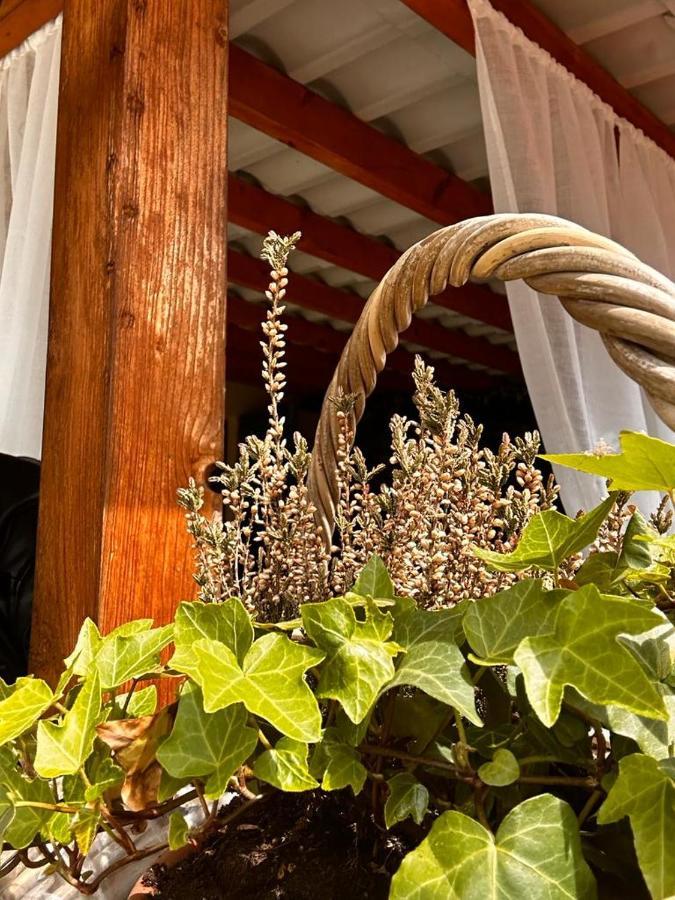 Bon Bon Del Corso Con Terrazzo E Aria Condizionata Appartement Asti Buitenkant foto